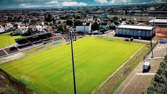 人力资源的 人力资源的