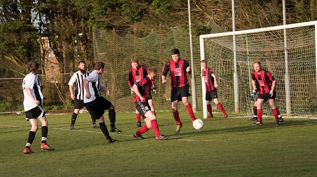 正性的质疑 正性的质疑