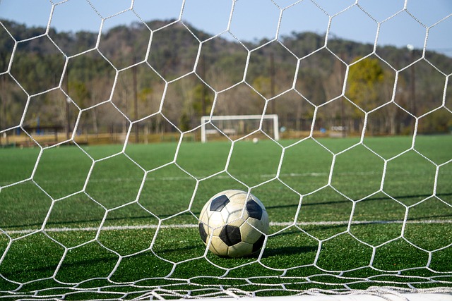 都充分体现 都充分体现