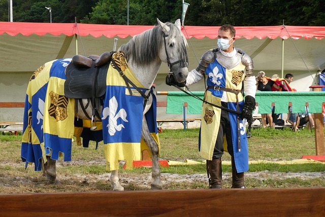 齊的方式 齊的方式