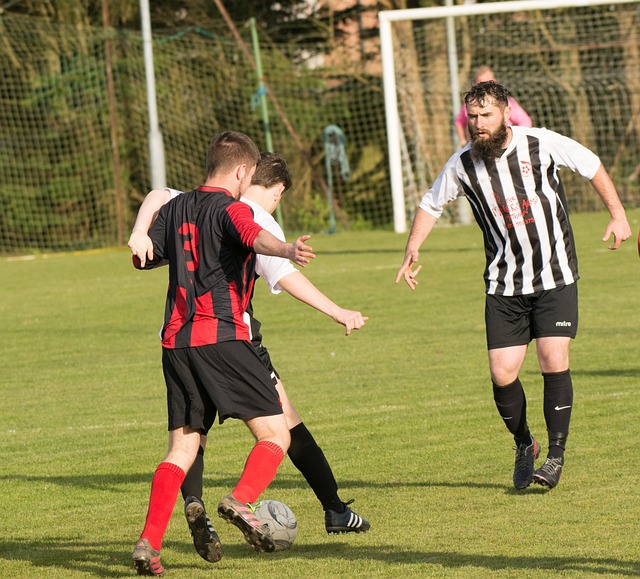 猛龙冠军核 猛龙冠军核