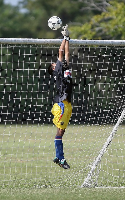 力的标准 力的标准